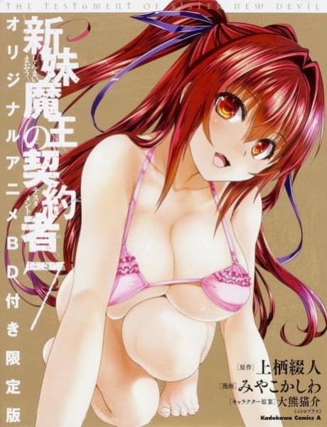 The Testament of Sister New Devil BURST: Tojo Basara’s Perfectly Peaceful Daily Life
